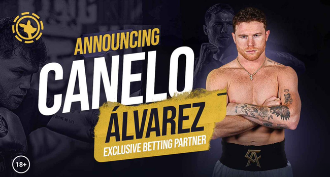 Canelo &Aacute;lvarez is a 2026 2027 brand ambassador for the crypto casino and online betting platform Roobet. 